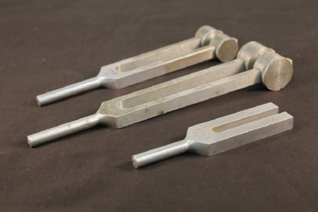 Tuning Forks                            