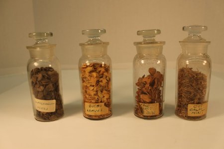 Herbal medicine bottles                 