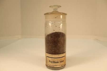 Psyllium Seed                           